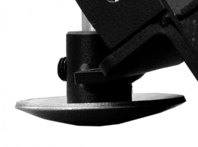 E3RZqM5Xip_736_10639_Champignon lame à neig.jpg